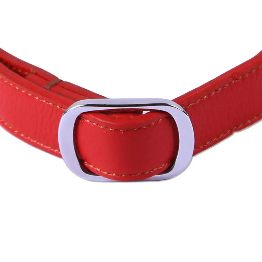 TPFOCUS Dog Collars Personalized Stainless Steel Leather Semi- Controlled Pet Collar for Large Dogs Pitbull Bulldog Beagle