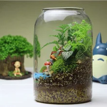 1 шт. Горячая круглая стеклянная ваза ручной работы суккулент Набор для террариума украшение дома подарок-круглое дно OP 164