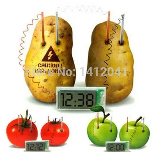 FD1067 Durable Pretty DIY Potato Clock Green Science Cell Home School Lab Educational Kit Toy | Игрушки и хобби