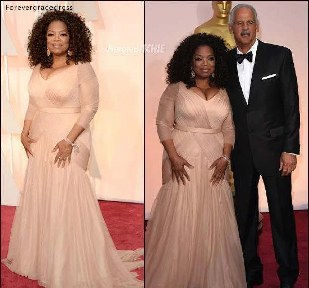 Oprah Winfrey Oscar Celebrity Dresses plus size v neck sheath chiffon with long sleeves mother of bride groom dresses BO9521  144 (9)