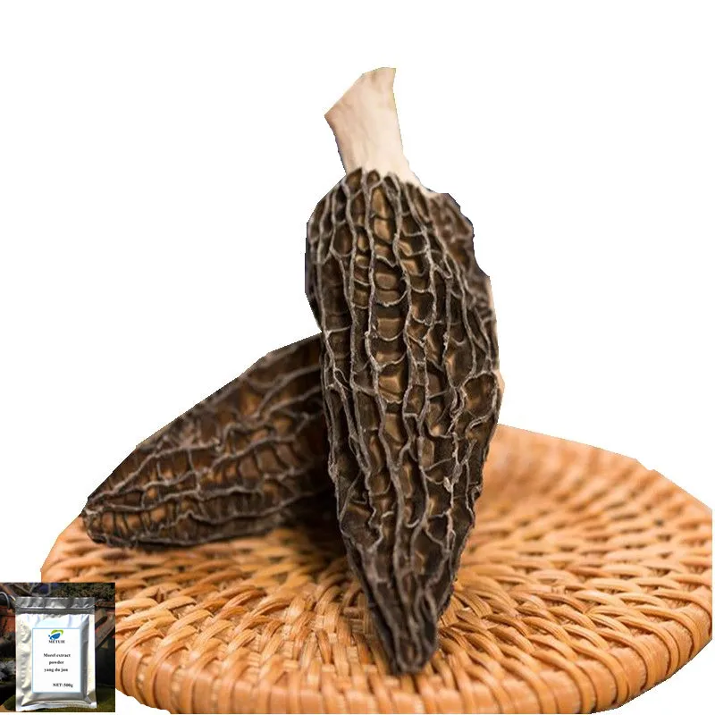 

Brand name Morchella Morel extract powder body use type supplement nutrition protcin Tonifying kidney and strengthening yang