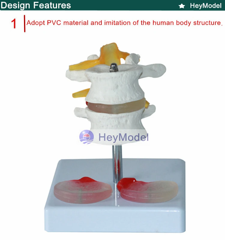 1.PVC_