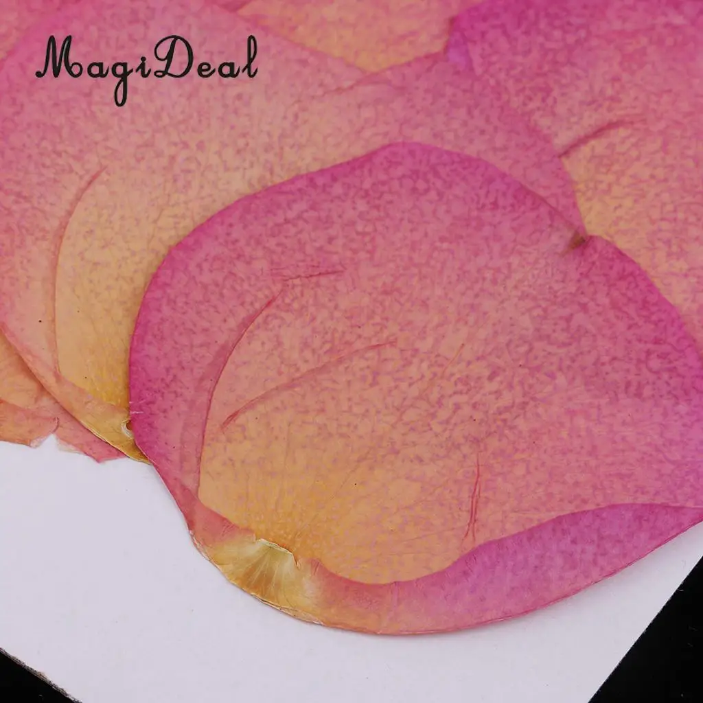 12 Pieces Pink Natural Real Dried Rose Flower Petals for DIY Wedding Christmas Card Making Phone Case Decoration
