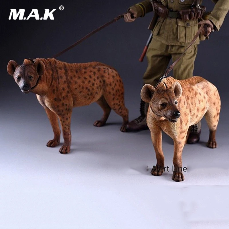

1:6 Scale Alert Line AL100025 Crocuta Crocuta Dog With Leash Animal toy for 12 inches Action Figure Scene accessorie Collections
