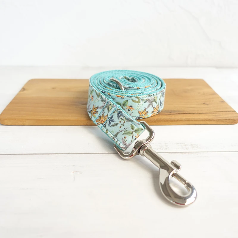 Dog Collar Turquoise (28)