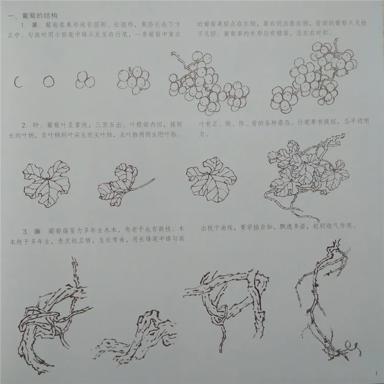 Традиции китайской живописи технических навыков-как рисовать винограда написан Цзян-Тао Цзэн