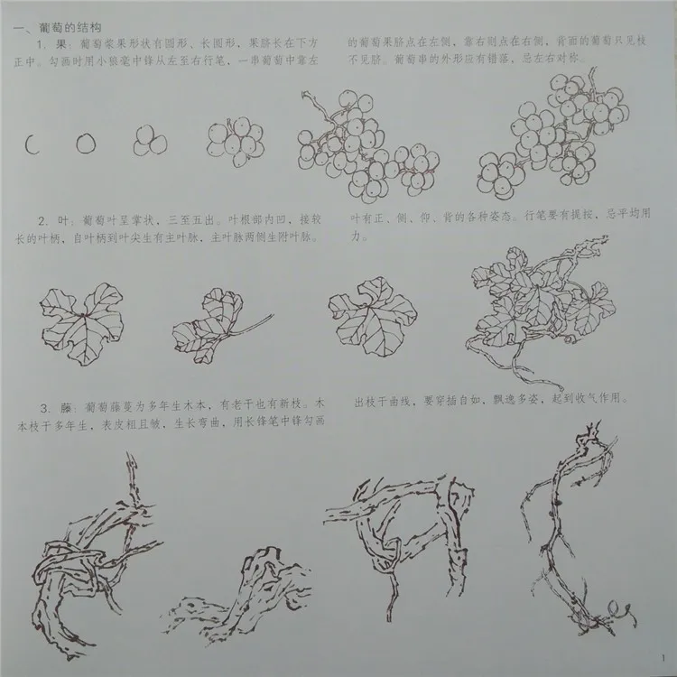 TB2ZyDriXXXXXbFXpXXXXXXXXXX_!!2213096646