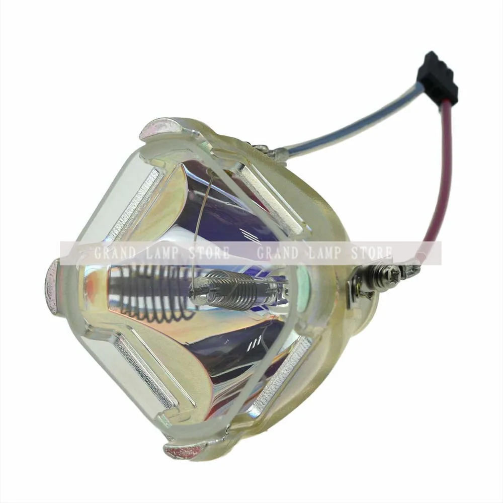 SP-LAMP-005-3