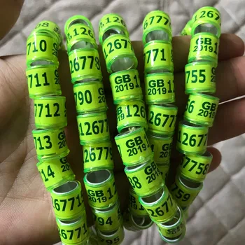 

2019 Pigeon Foot Ring Rings suppliers GB Yellow Rings 1000pcs/Lot bird rings DHL free shipping