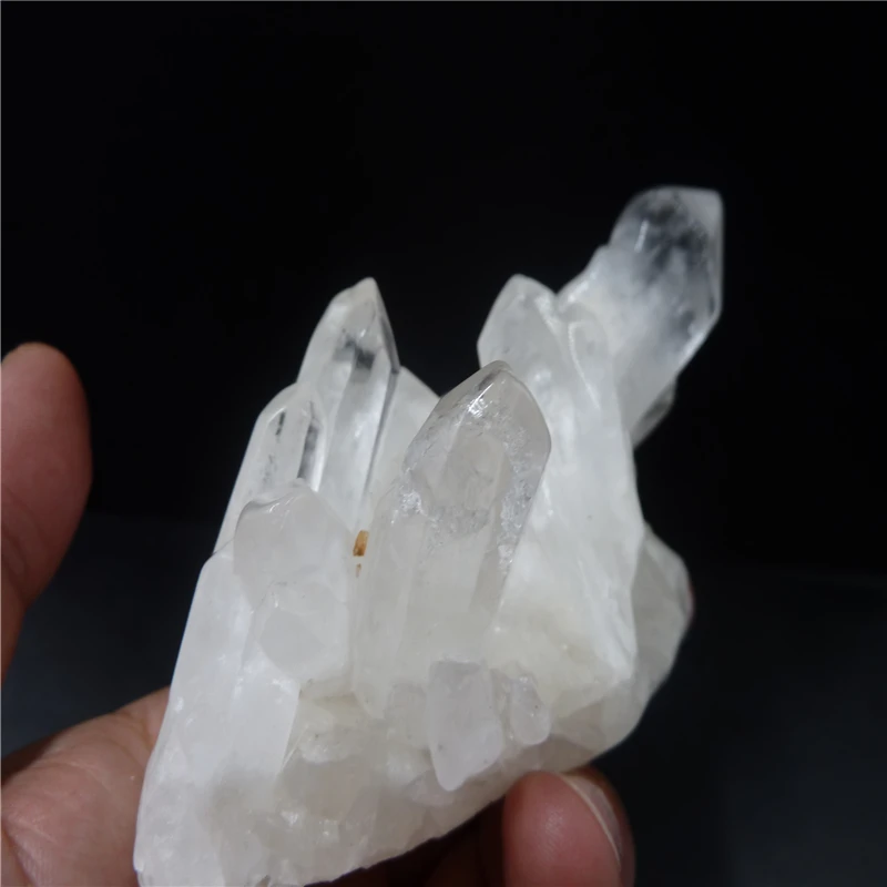 P1440553