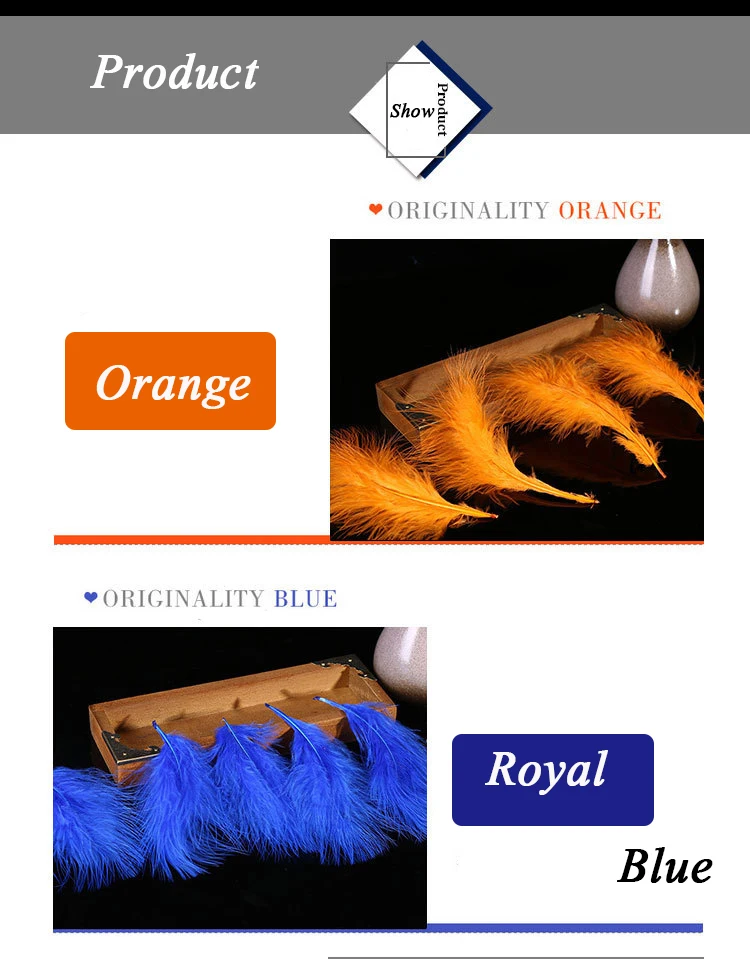 3195455544_1022353483