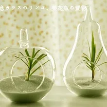 Домашнее декоративное стекло ваза украшение домашнего декора прозрачная стеклянная ваза для цветов в форме яблока и груши креативное украшение Лидер продаж