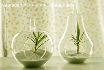 

Home decor glass vase decoration home decoration transparent glass flower vase apple &pear shaped creative decoration hot sale