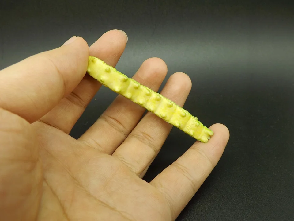 J017 (4)