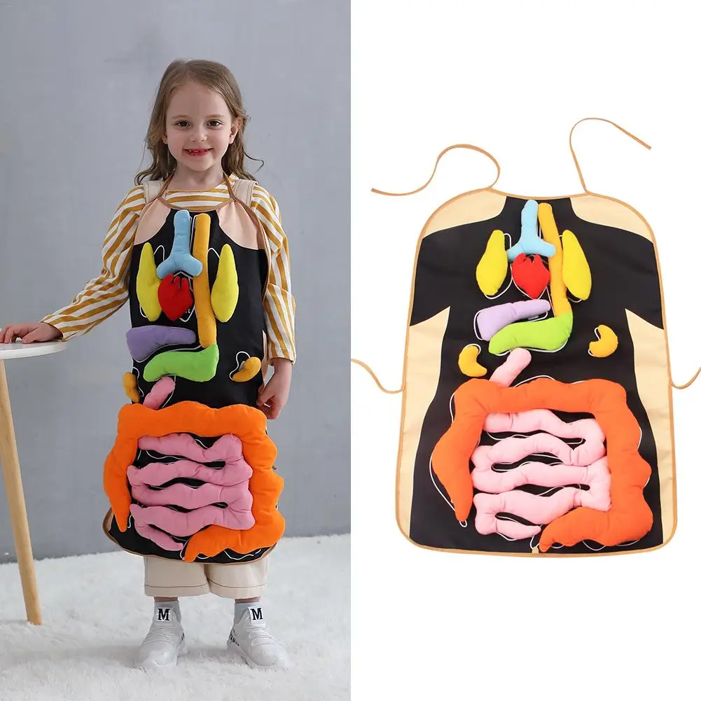 

Detachable Educational Toy For Children Anatomy Apron Human Body Organs Visceral Awareness Preschool Science Home Teaching Aids