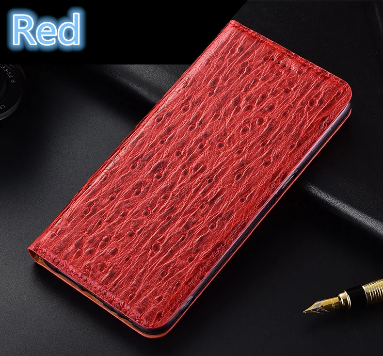 鸵鸟纹-详情页_14_副本