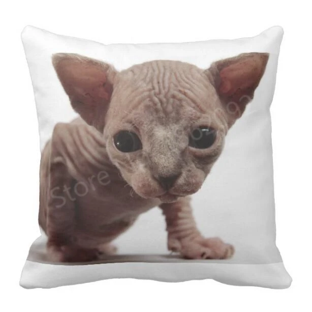 

Freaky Cute Furless Sphynx Kitten Throw Pillow Case Cushion Cover White Printed Sphynx Cat Soft Cushions Cases Animail Pet Gifts