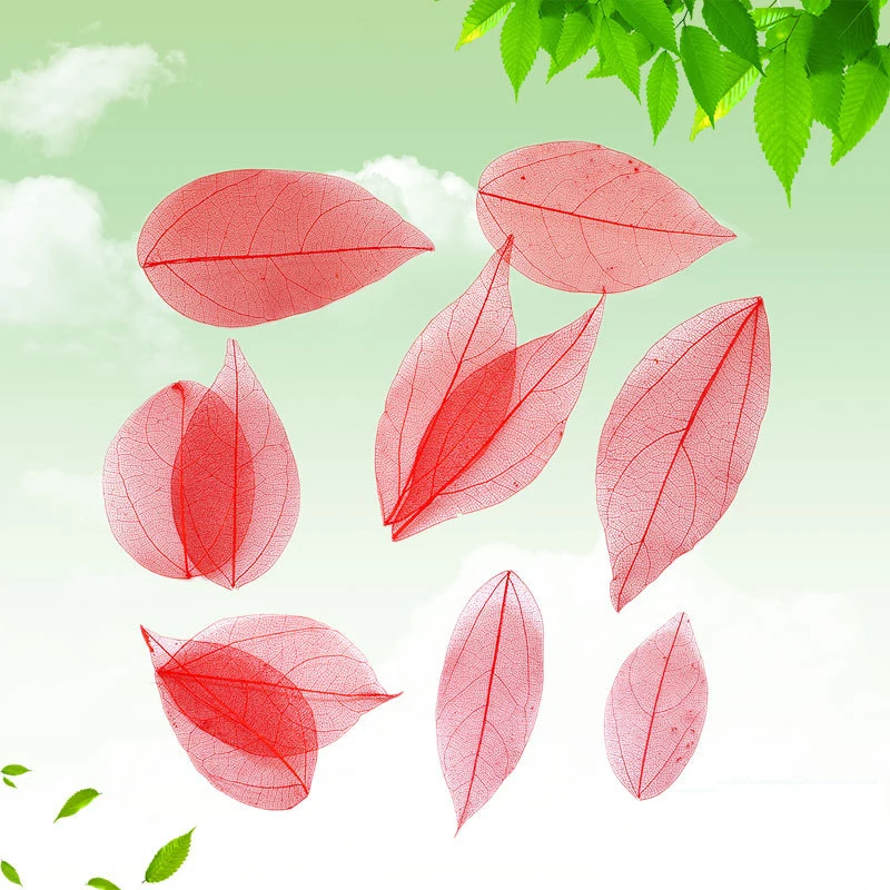 QQ20190322160408