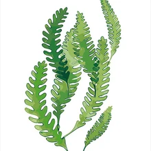 MOLEK DIY картина маслом по номерам комплект зеленые листья Lindsaea современная акриловая живопись на холсте Современный домашний декор Настенная картина