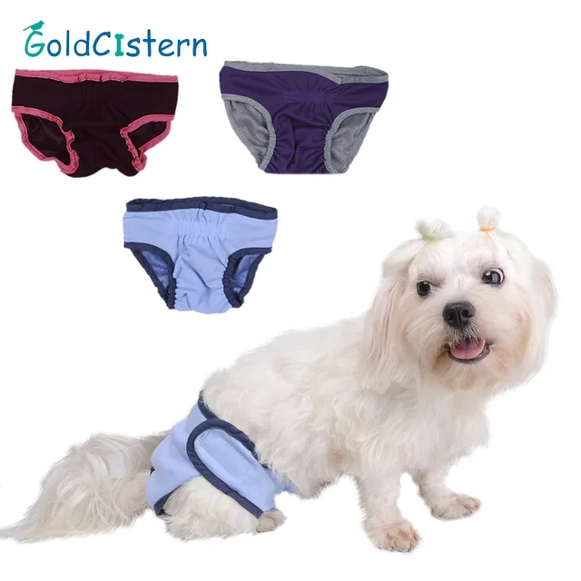 pet dog cat physiological shorts doggy kitten underwear pants pet dog cat physiological shorts doggy kitten underwear pants diapers small female dog sanitary briefs for