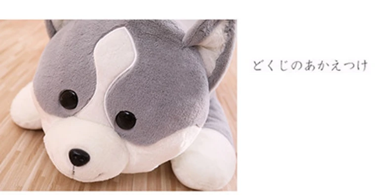cute cartoon corgi plush toy giant fat Shiba Inu doll animal sleeping pillow for boy girl gift decoration 100cm 120cm DY50711 (20)