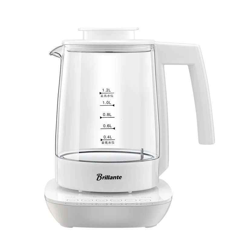 Thermostatic electric kettle 2