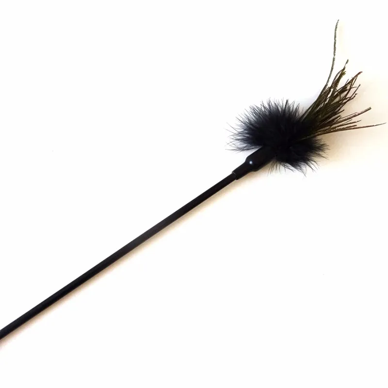 Jouet baguette avec plumes noires pour chat et chaton DSC02737