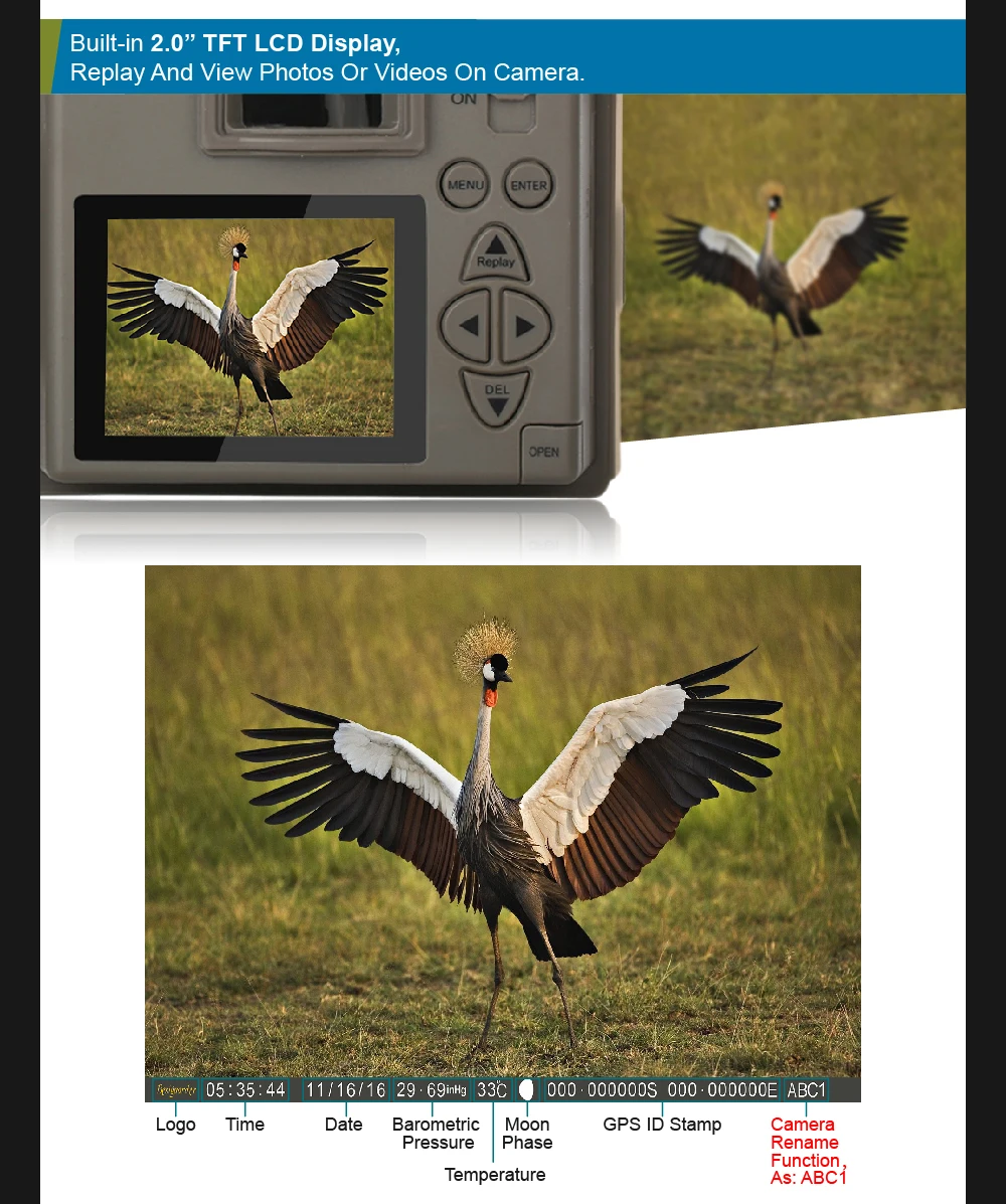 BG-880V__09