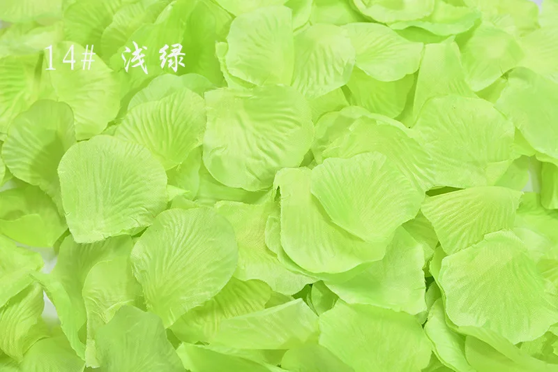 2932571549_405463345