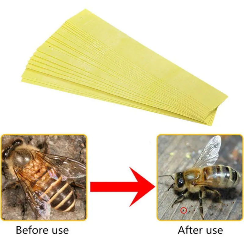 Professional The Bee Mite Strip Acaricide Against Beekeeping Medicine Bee Varroa Mite Killer& Control Beekeeping Farm Medicines