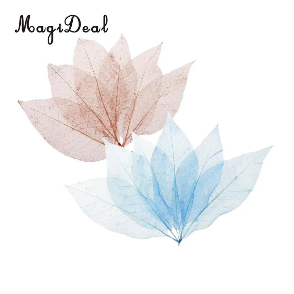 100Pcs Magnolia Skeleton Leaf Scrapbook Decoration Leaves Blue and Brown Decorative DIY Craft Leafs Artwork Embellishment