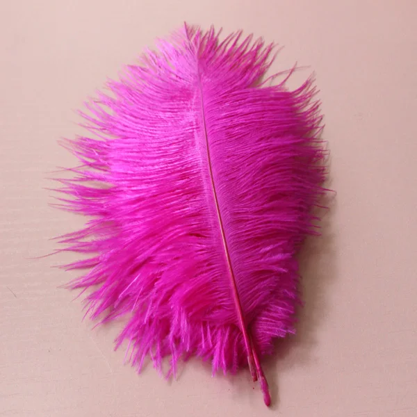 Hot! 100 Pcs Natural 15-20cm / 6-8 inch Mei red Color Ostrich Feathers ostrich plumes for party wedding decorative | Дом и сад