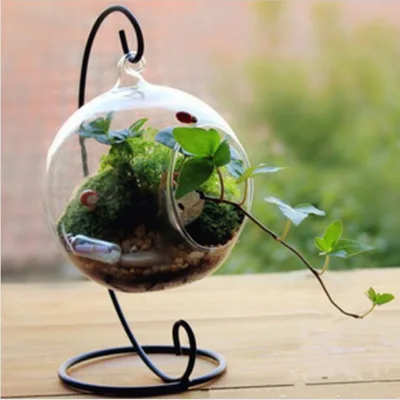 

Handmade Micro Ecological Transparent Vase Multi-function Glass Vases