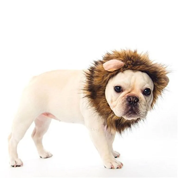 pet clothes01