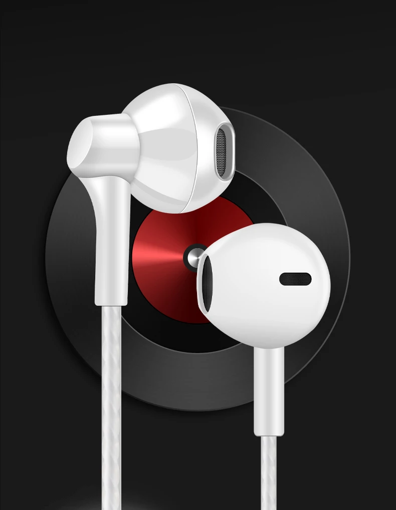 In-Ear Earphone (1)