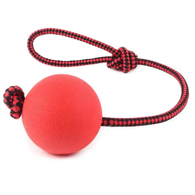 Rope Handle Pet Play Training Chew Toys Puppy Dogs Toys Tooth Cleaning