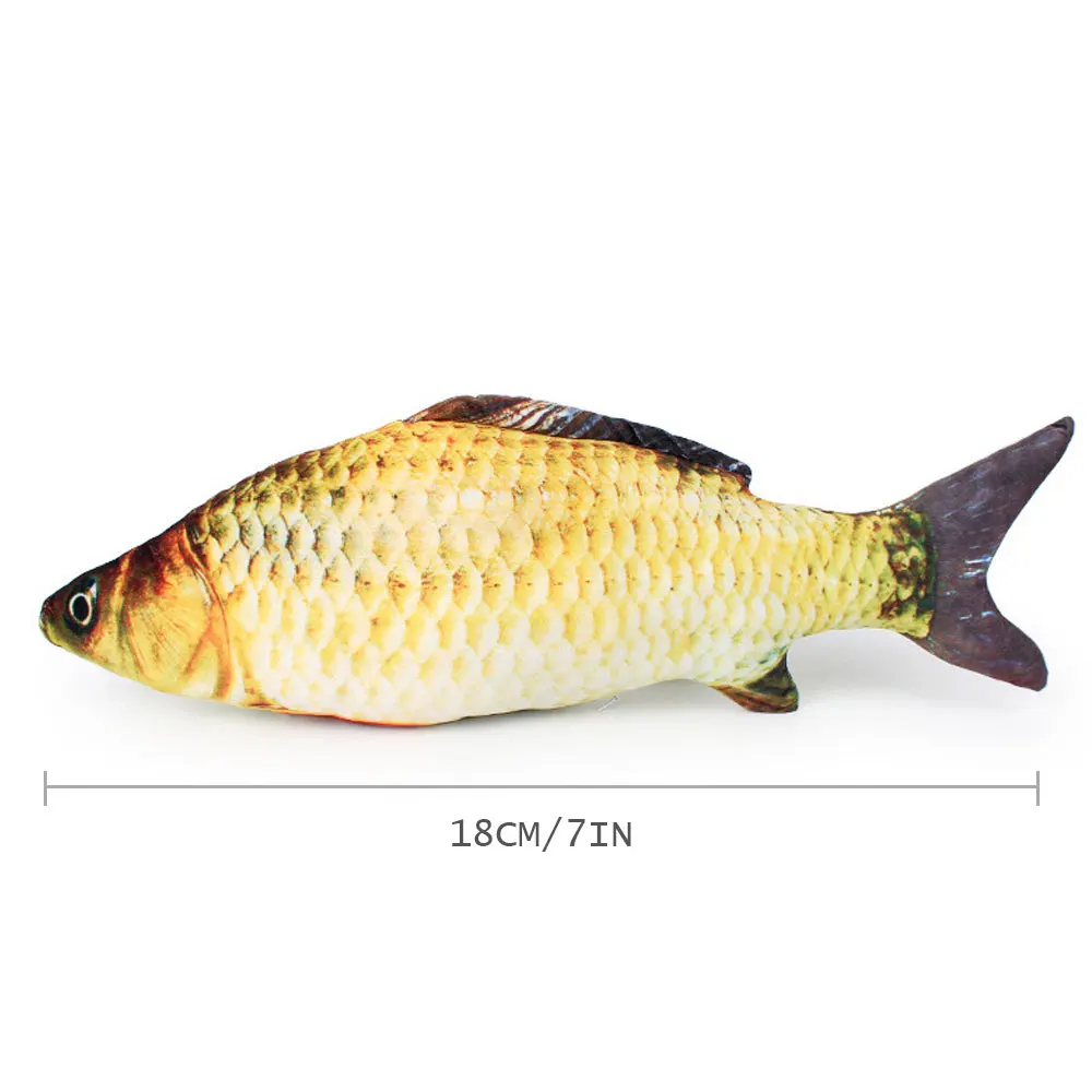 C5-5504-3