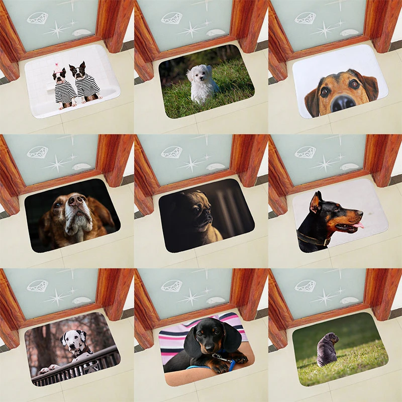 

Anti slip doormat for entrance door mats outdoor indoor front door mat cute dogs printed Thicken flannel 40x60cm 50x80cm QX-B5