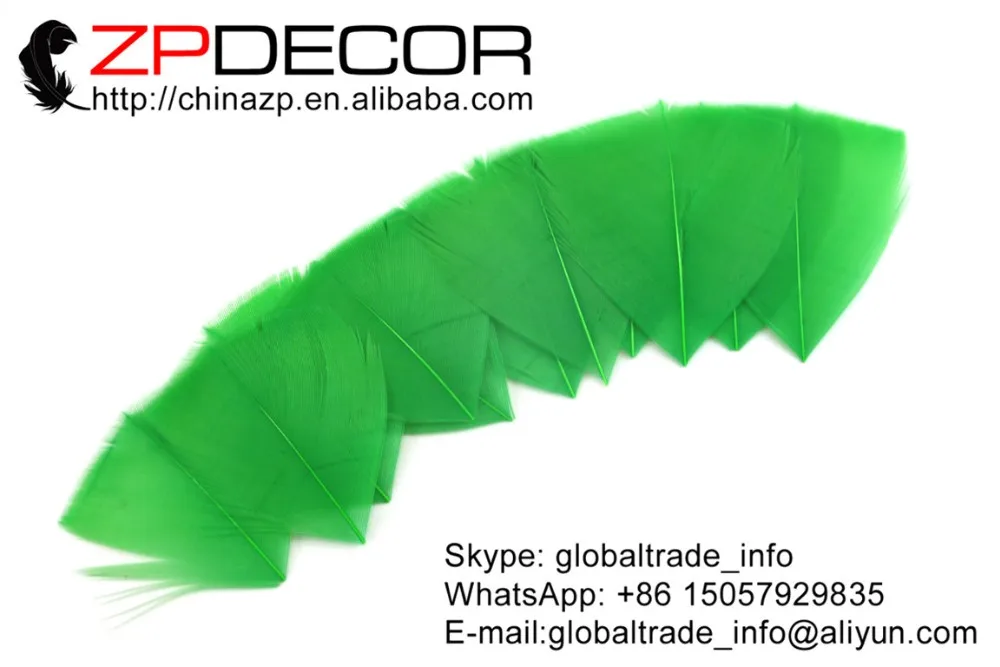 green turkey feathers petal (1)