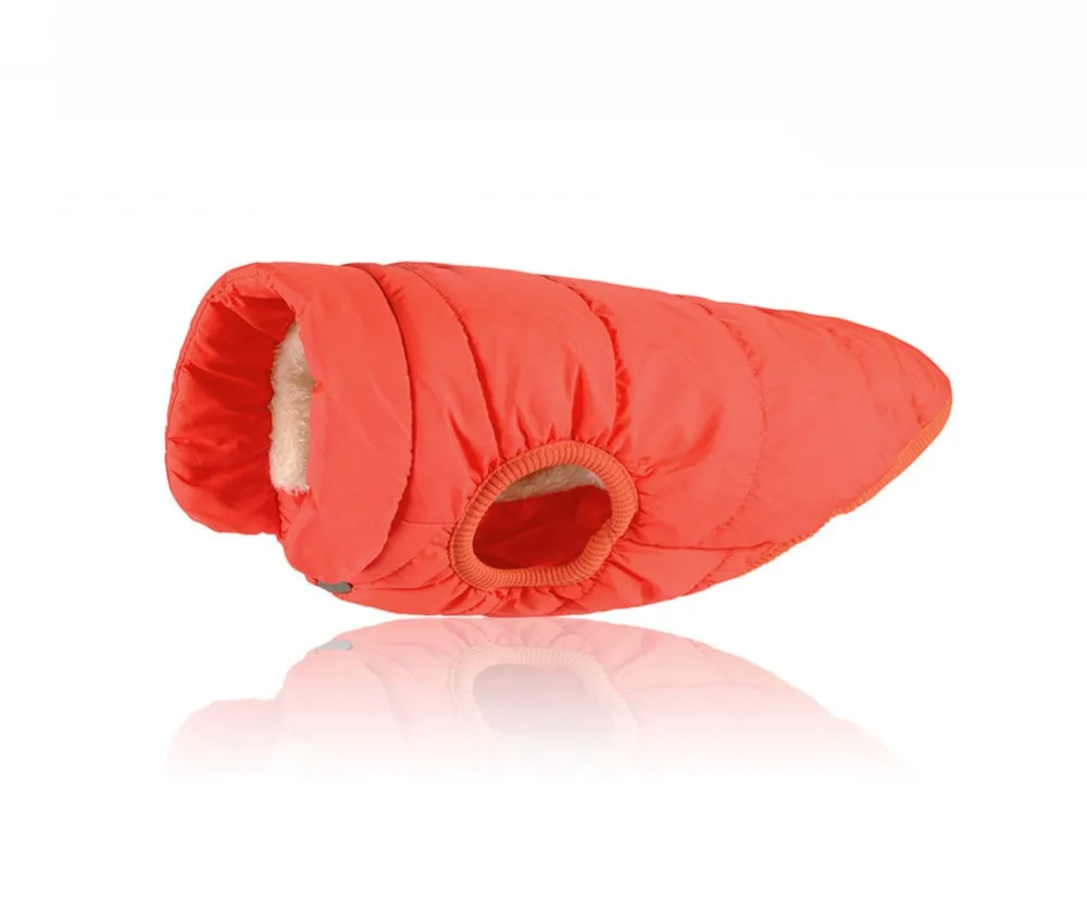 9132059695_1168772536