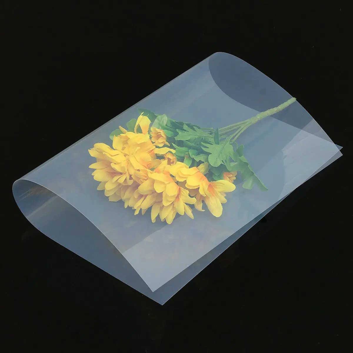 printing on transparency