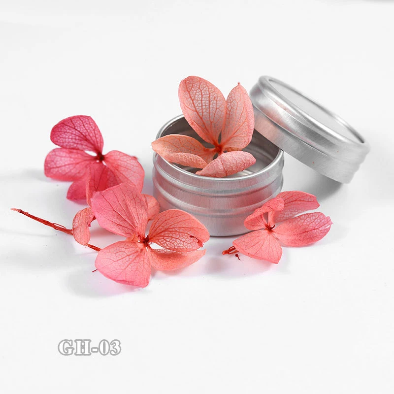 MEET ACROSS1 коробка сушеные цветы для украшения ногтей смешанный консервированный цветок натуральный цветочный стикер DIY Маникюр 3D дизайн ногтей украшение - Цвет: SS04289