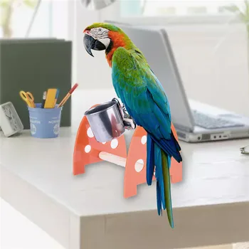 

Acrylic Wood Office Desk Stand Climb Stand Bird Toys Training High Quality Bird Parrot Toy Parrot Feeder Supplies random colors