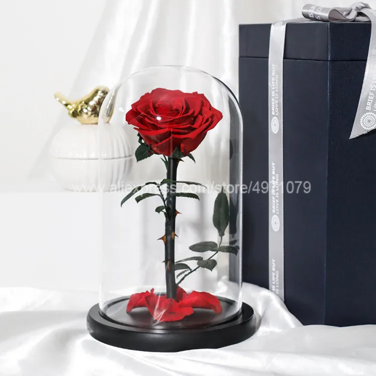 

Hot Sale Preserved Fresh Rose Flower Long Lasting Flowers Mother's Day Gift For Window Display