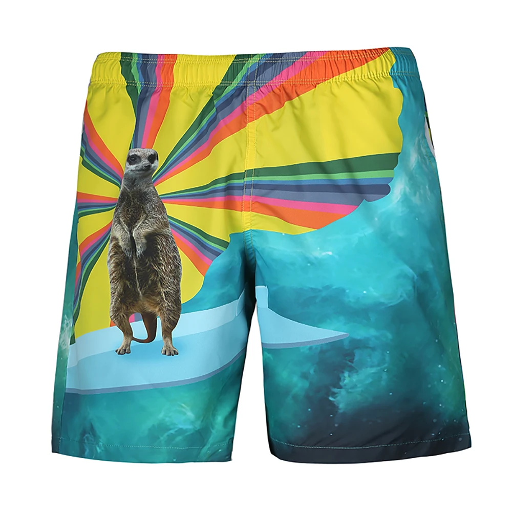 

2019 Men Beach Shorts Swimwear Summer Swimming Trunks Water Sports Underwear Animal Pattern Casual Large Size Elastic Sportswear