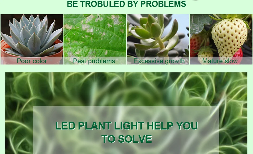 LED PHYTO GROW LIGHTS (2)