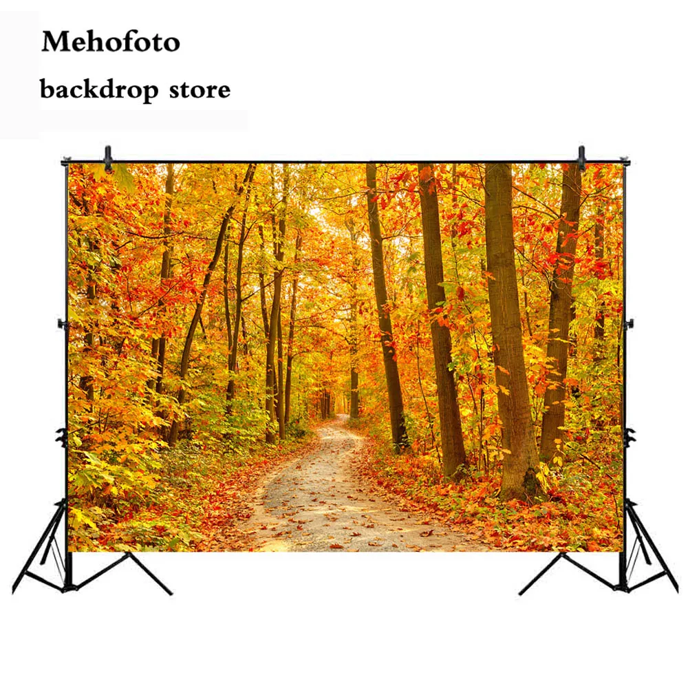 Фотофон Mehofoto осенний пейзаж кленовый для фотосъемки дороги фотостудия Лес