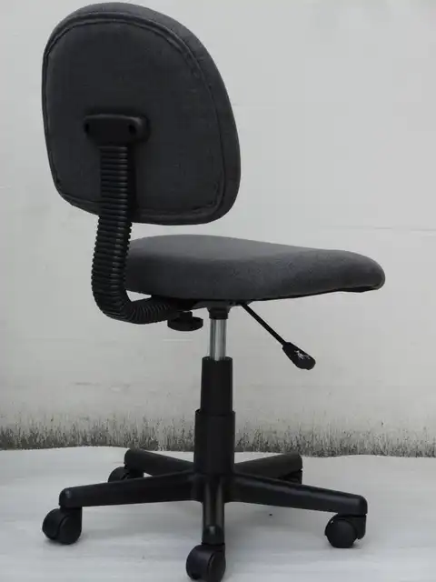 Low Back Posture Delux Fabric Task Chair Without Arms Office