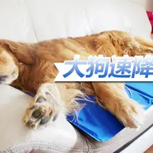 Домашние животные гелевая Подложка для льда, охлаждающая Подушка, летний холодильник с изображением собаки подушка, автомобильный коврик для домашних животных или кошек