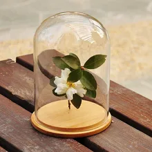 Glass Dome Gass Shade Glass Bell Jar Bell Flowers cap with Wood Base Home Decor decoration vases cover shaped transparent empty